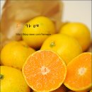 제주고가네 이미지