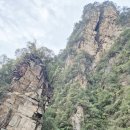 화랑노래나라 | 장가계 패키지여행 2탄｜안개 속 아바타 풍경, 패키지 여행 리얼 후기