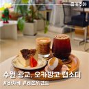 오카방고(Rhapsody) | 광교 경기대 카페 오카방고 랩소디