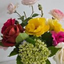 하대동181 이미지