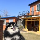 황토돌담집 이미지