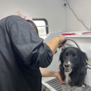 멍즈니랜드 이미지