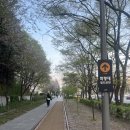 성덕반딧불작은도서관 | 노원구 화랑대철도공원 벚꽃 보러 갔는데 🌸 야경 환상적이던 곳 🌌