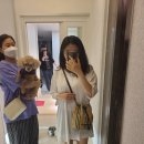 스쿨푸드구리다산 네이버블로그