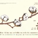골목실험극장 이미지