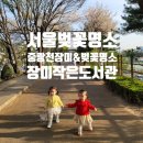 장평육교(신현중 쪽) | [서울벚꽃명소] 화사하게 벚꽃이 만개했던 장미작은도서관 중화체육공원
