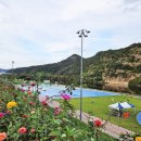 세천강변 이미지