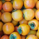 감골농장 이미지