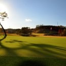 한양파인컨트리클럽 이미지