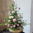 평촌동 행정복지센터 이미지