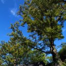 화전별곡 이미지