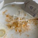 호미스피자수원 네이버블로그