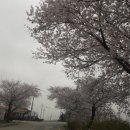 길식농장 이미지