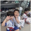 용인대 최고 태권도 이미지