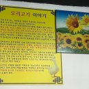 UR(구리시)-[갈매중앙로]-상-6 | 갈매역 맛집 갈매오리｜몸보신 제대로 한 능이백숙 솔직 후기