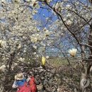 목련쉼터 이미지