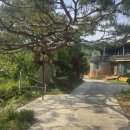 전주고덕펜션 이미지