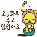 뽀송 애견미용 이미지