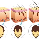 이든 연합의원 이미지