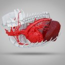 하랑동물의료센터 이미지