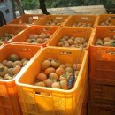 숲고을농장 이미지