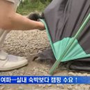 매일방송