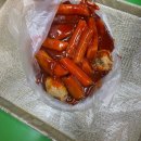수달 2025년 일상 1월 마무리