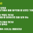 두드림풀꽃 | <감사일기 작성습관> 5,000일 돌파를 기념하며······