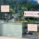 제이와이카라반캠핑장 | [가평] 제이와이카라반캠핑장 - 가평 글램핑 내돈내산 후기(가격,주차,예약,픽업,수영장)