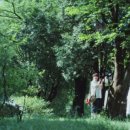 코모레비 이미지