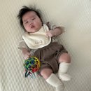 해동성 - 세종특별자치시 | [월간아이폰] 5월호 上