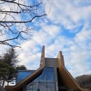 소나무숲 방주산장 | 용인 고기리 스타벅스 고기동 계곡뷰 카페 용인고기동유원지점 디저트 메뉴 가격 주차