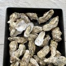 해피휴게소 이미지