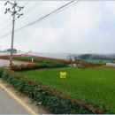 전대초등학교 이미지