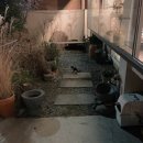 센스타 - 칠곡군 북삼로11길 88 | 센스타