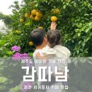 신화베이스 캠핑카제작소 | [제주 /서귀포] 눈과 입이 즐거운 디저트 맛집 카페 추천 &#34;감따남&#34;