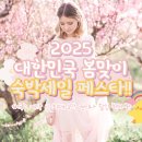 2025 대한민국 봄맞이 숙박세일 페스타, 국내 여행 하고 숙소 최대 3만 원 할인받자! 이미지