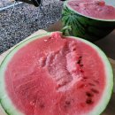 우곡그린복합영농조합법인 이미지