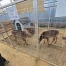 바구 스틸 이미지