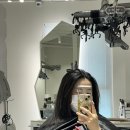 창빈헤어 | 오슈아헤어 성수점 빈 디자이너 염색 후기 대만족