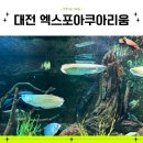 5805 | 대전 실내 가볼만한 곳 엑스포아쿠아리움 요금, 할인, 주차