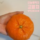 온슬과일