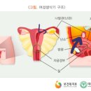 여미애산부인과