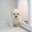 유어라운지 이미지