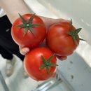 봉화박스