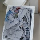 행복한 굼벵이 마을 | 동물복지인증 굼벵이를 먹고자란 정아네 자연방사 유정란