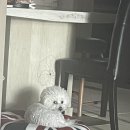 대건치과의원 이미지