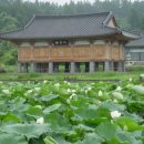 법화사지 이미지