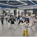 옥길버들초 이미지