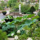 제이알랜드 이미지